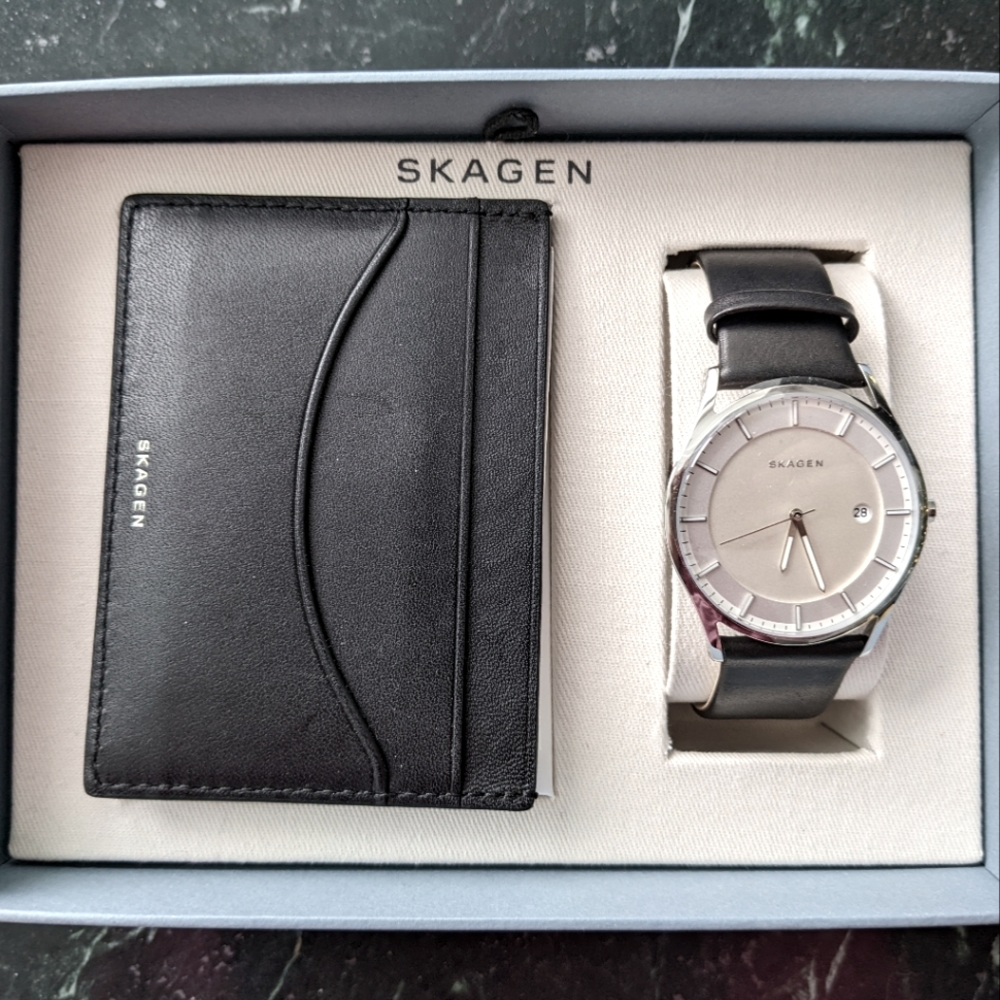 Skagen Watch